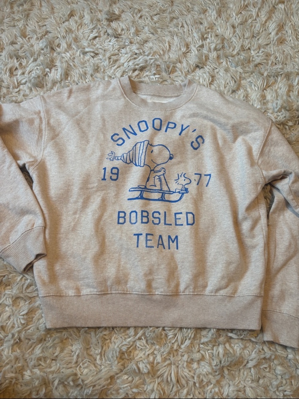 American Eagle crewneck NWT